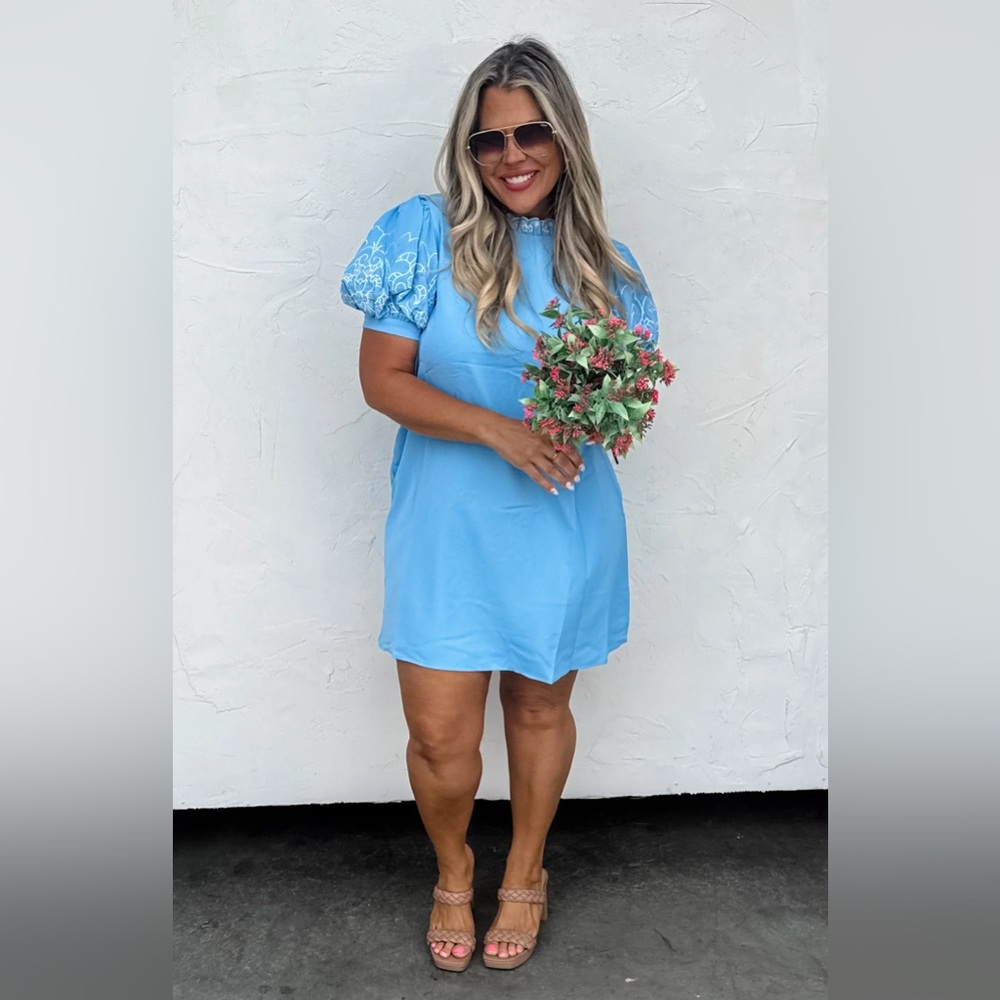 Spring Forward Embroidered Dress